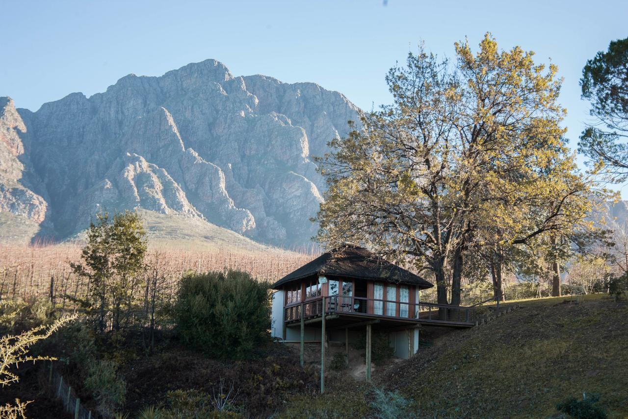 Tulbagh Mountain Manor Guest House Кейптаун Екстериор снимка